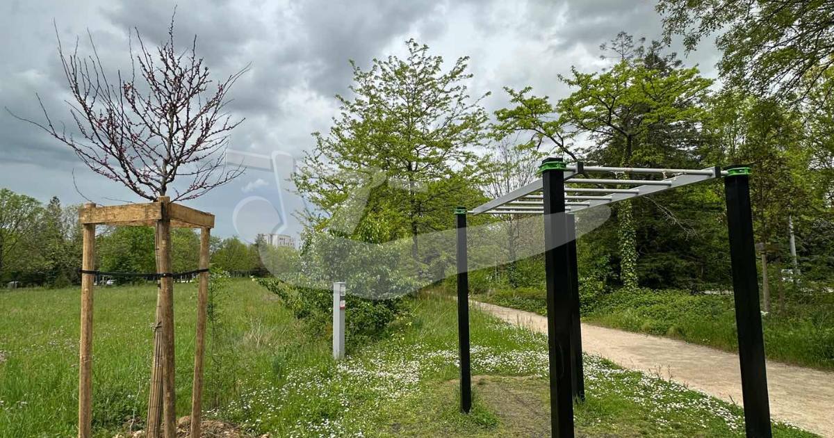 Calisthenics Parc Tecnologique — an outdoor calisthenics spot in France