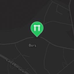 Map showing where Bors - Calisthenics Park - Terenul de Fotbal din Bors is