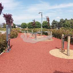 Calisthenics spot Küçükçekmece lagün parkı