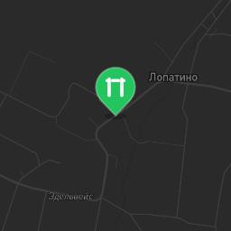 Map showing where Public gym park - Lopatino - Calisthenics workout is
