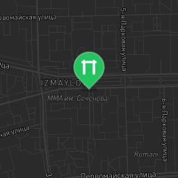 Map showing where Moscow - Fitness Park - 9-Я Парковая Улица is
