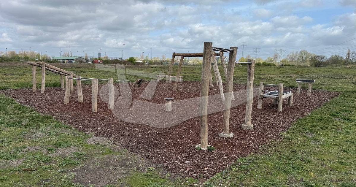 Amsterdam - Outdoor Fitness Park - Diemerpark — an outdoor calisthenics spot in Netherlands