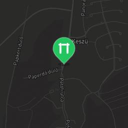 Map showing where Public gym park - Keszü - Calisthenics workout is