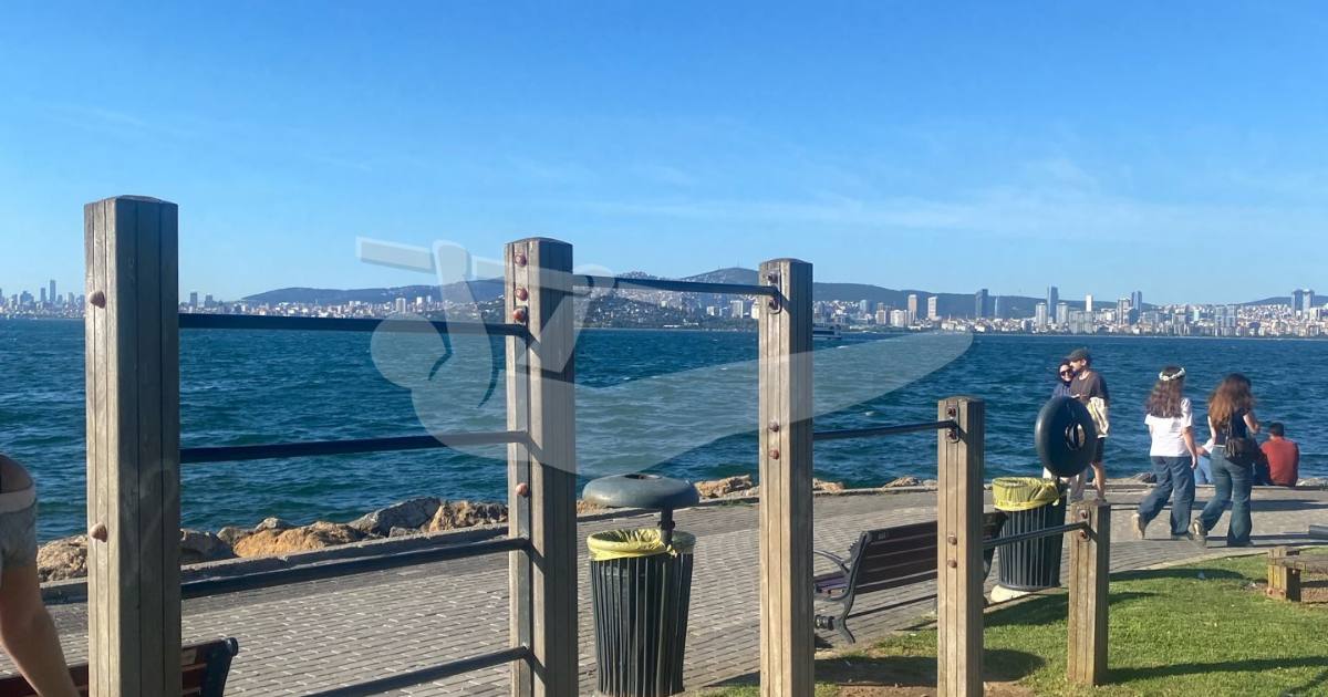 Büyükada, Gülistan Cd. Parkı — outdoor calisthenics spot in Istanbul