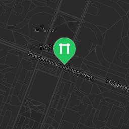 Map showing where Moscow - Calisthenics Gym - Ясногорская Улица is
