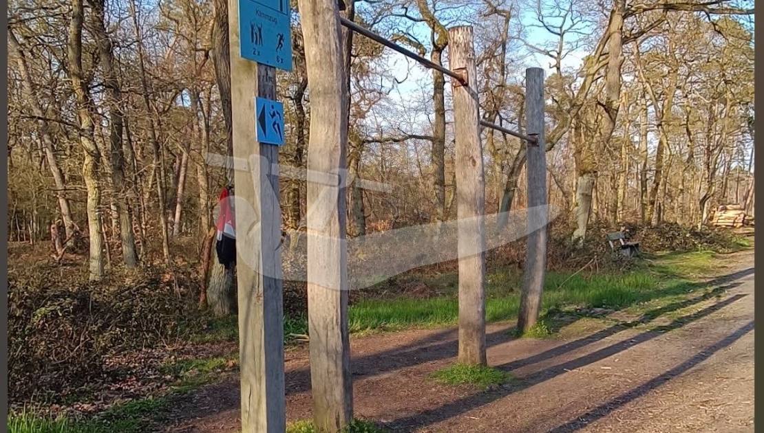 Bauschheim - Fitness Trail - Bauschheimer Wald — an outdoor calisthenics spot in Hesse