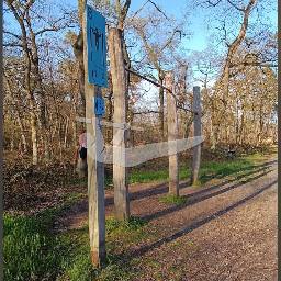 Calisthenics spot Bauschheim - Fitness Trail - Bauschheimer Wald