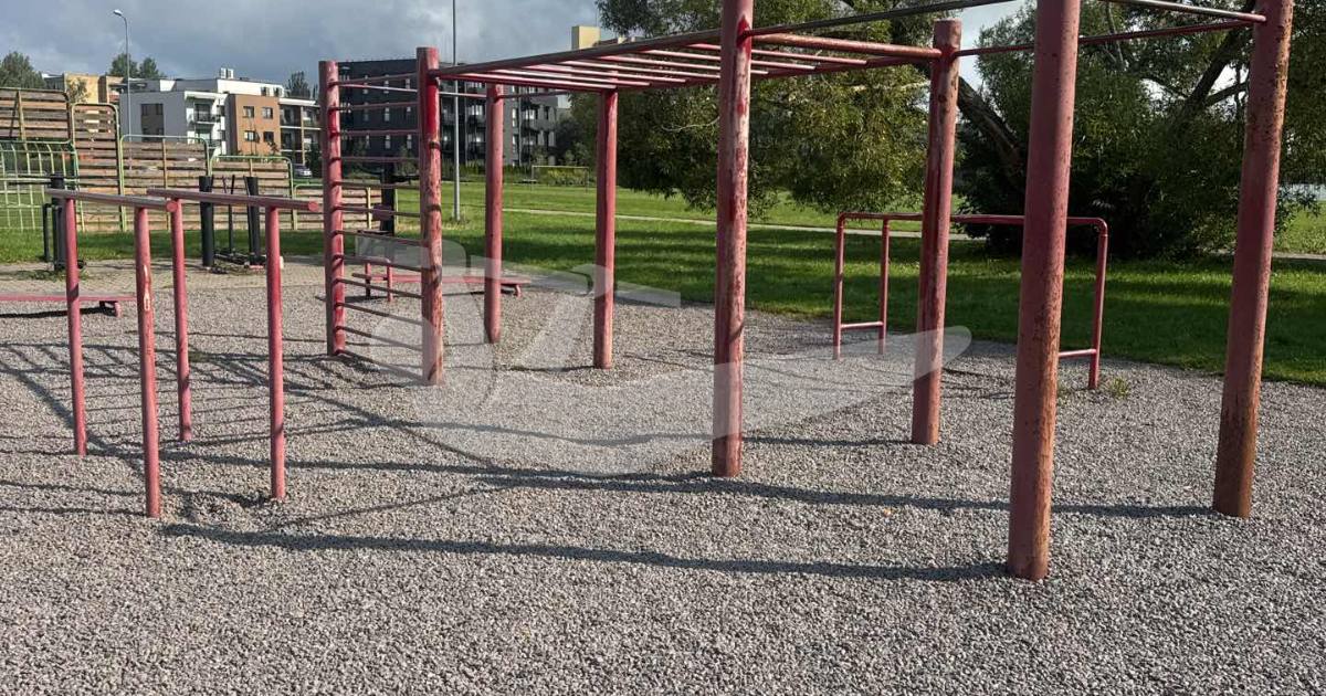 Calystenisc place — an outdoor calisthenics spot in Lithuania