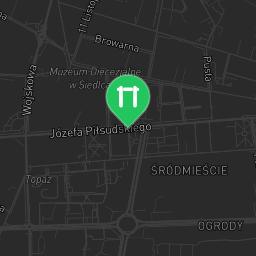 Map showing where Siedlce - Street Workout Park - Zalew is