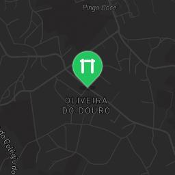 Map showing where Porto - Workout Facility - Parque Ponte Maria Pia is