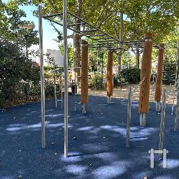Calisthenics spot Calisthenics Robinier Laënnec Park