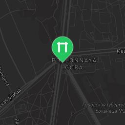 Map showing where Saint Petersburg - Fitness Park - Пр-Кт Тореза is