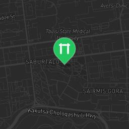 Map showing where Tbilisi - Street Workout Park - Turtle Lake is