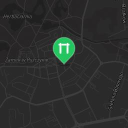 Map showing where Public gym park - Pszczyna - Calisthenics workout is