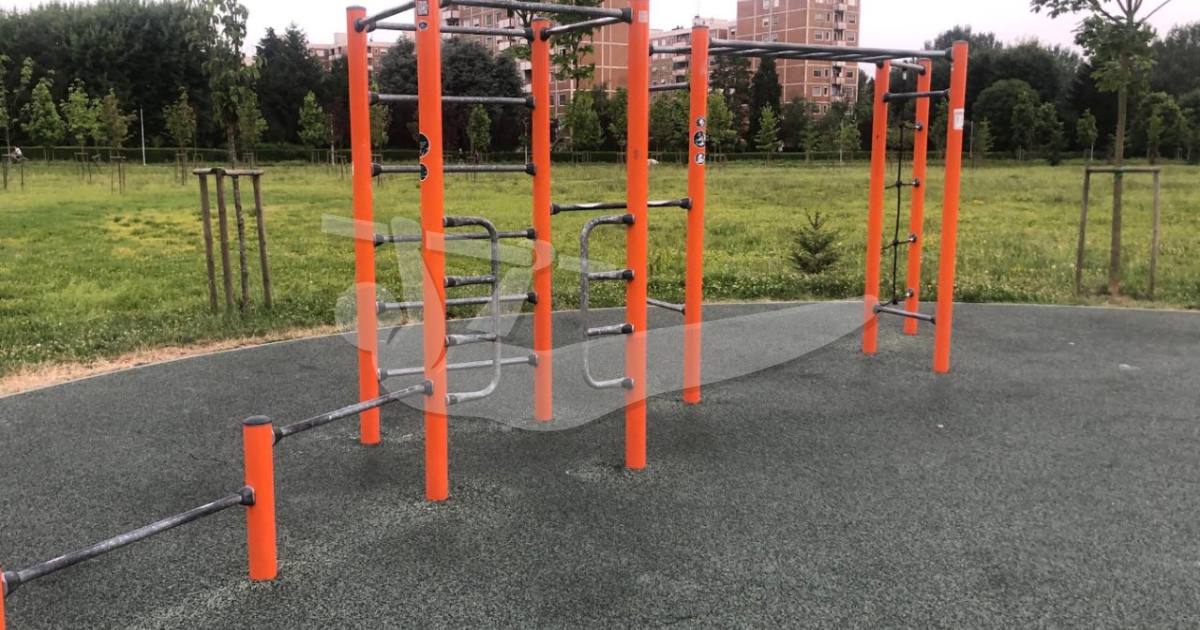 Parco Anello in Via de Missaglia Outdoor Gym — outdoor calisthenics spot in Milano