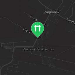 Map showing where Outdoor gym - Zagnańsk - Calisthenics workout is