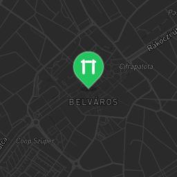 Map showing where Calisthenics Park by the zoo Kecskemét is