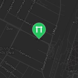 Map showing where Bodyweight fitness - Koluszki - Calisthenics workout is