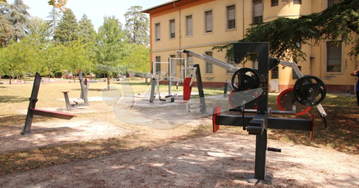 Skyfitness barre — outdoor calisthenics spot in Imola