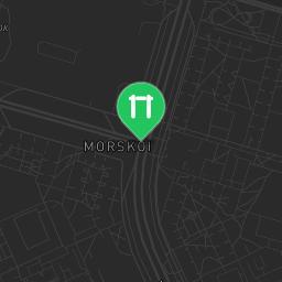 Map showing where Saint Petersburg - Street Workout Park - Ул Наличная is
