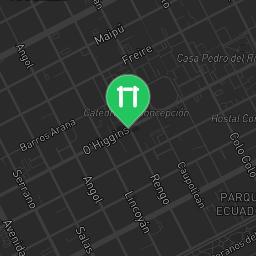 Map showing where Barras Universidad de Concepcion (Concepcion) is