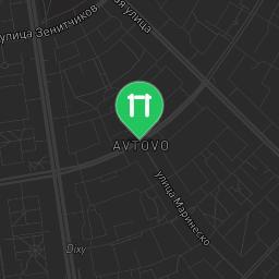 Map showing where Saint Petersburg - Street Workout Park - Улица Васи Алексеева is