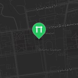 Map showing where Mineralovodsky - Street Workout Park - 357218 is
