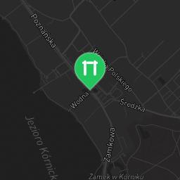 Map showing where Outdoor workout - Poznań - Calisthenics workout is