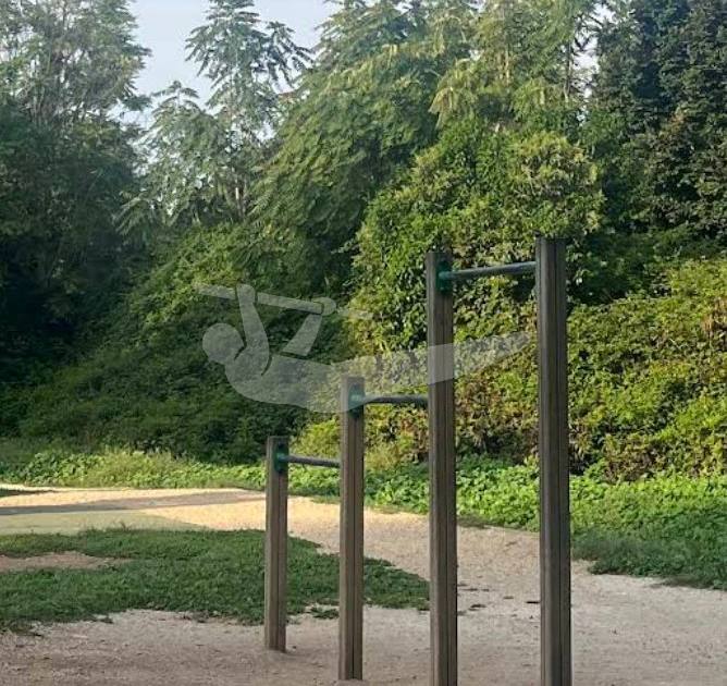 Outdoor Gym Parco Valle del Anniene — outdoor calisthenics spot in Roma