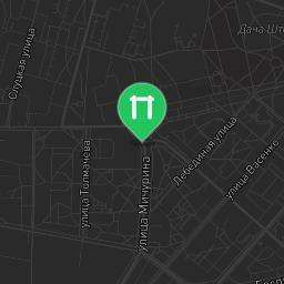 Map showing where Saint Petersburg - Street Workout Park - Город Павловск is