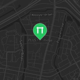 Map showing where Calisthenics Gym Duivendrecht park is