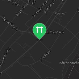 Map showing where Budakeszi calisthenics gym is