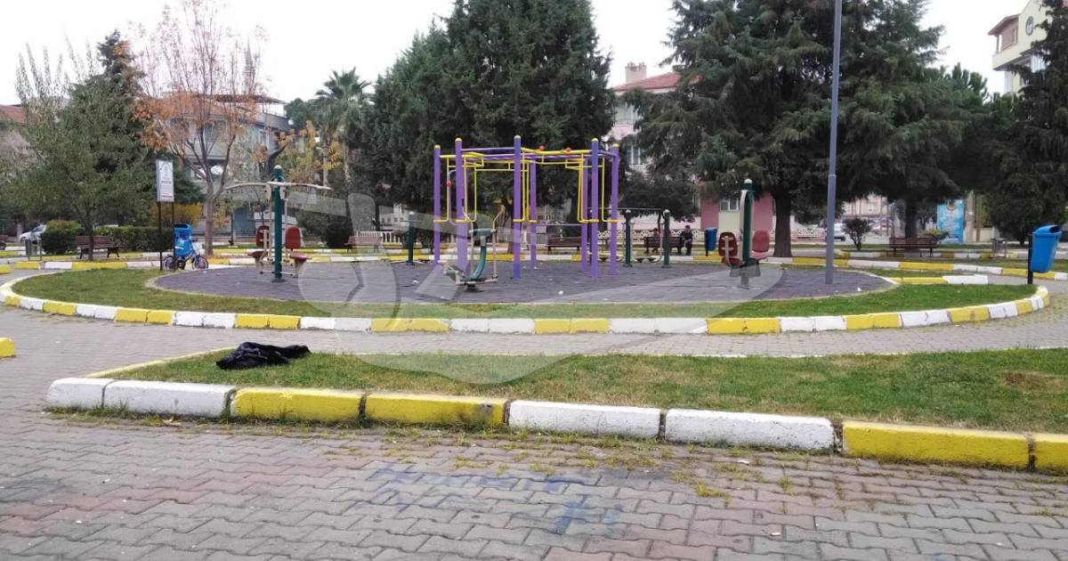 Bodyweight gym - Balıkesir - Calisthenics workout — an outdoor calisthenics spot in Altıeylül