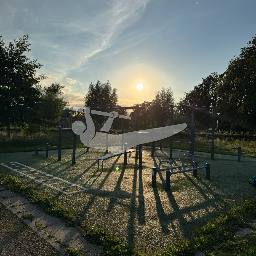 Calisthenics spot Calisthenics Gym Sportpark De Pas
