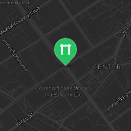 Map showing where Voronezh - Street Workout Park - Стадион «Динамо» is