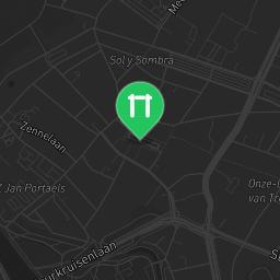 Map showing where Calisthenics Bar Park Rodenbachplein is