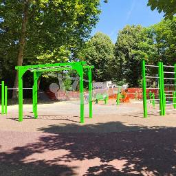 Map showing where Parco del Valentino Calisthenics Park is