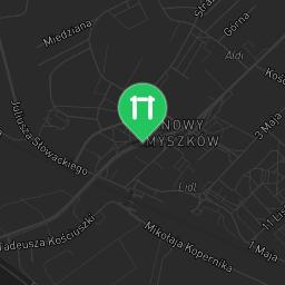 Map showing where Myszkow Street Workout Park is