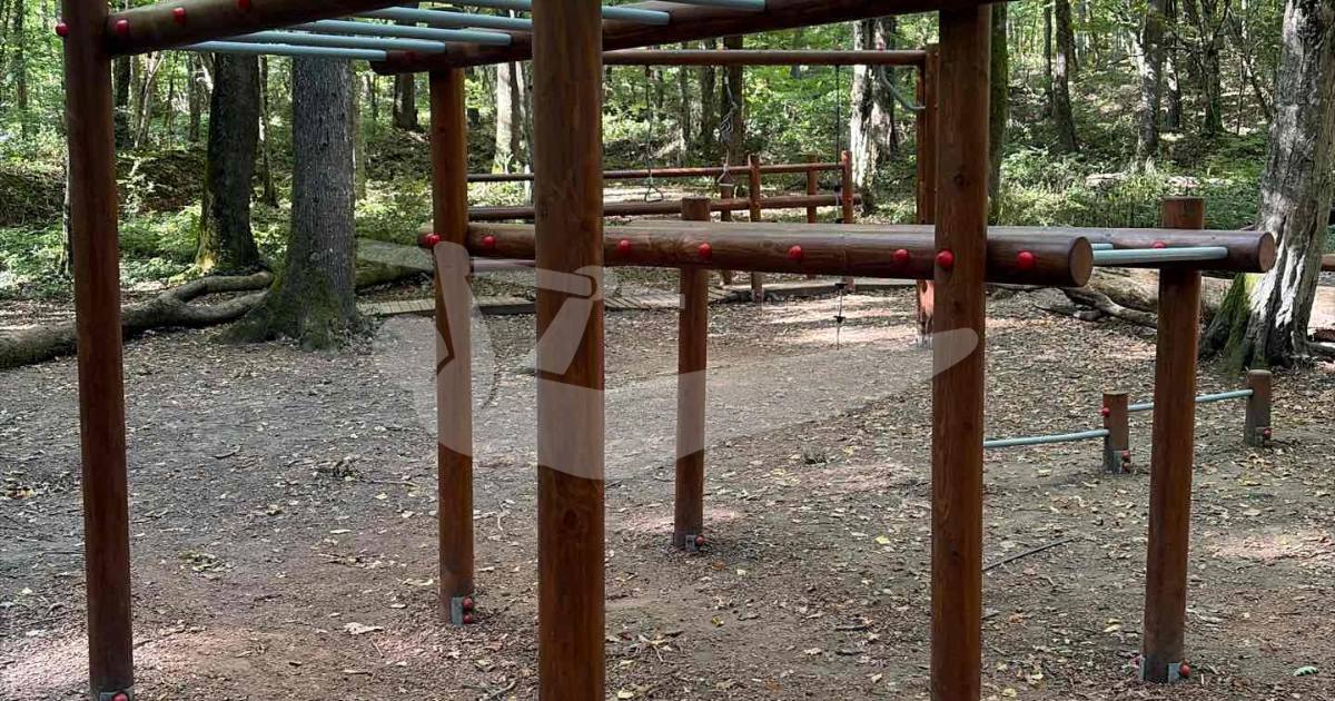 Belgrad Ormanı Calisthenics — outdoor calisthenics spot in Istanbul