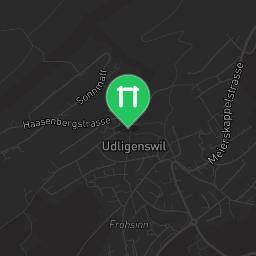 Map showing where Trimm Dich Pfad Udligenswil is