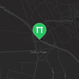 Map showing where Public gym park - Gołuchów - Calisthenics workout is