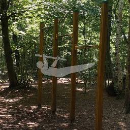 Calisthenics spot Bois de Vincennes