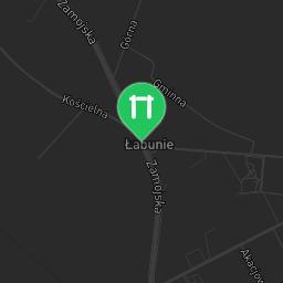 Map showing where Bodyweight fitness - Łabunie - Calisthenics workout is