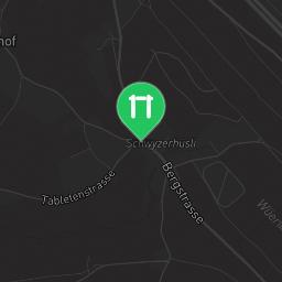 Map showing where Outdoor workout - Horgenberg - Calisthenics workout is