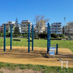 Map showing where Struttura calisthenics Roma is
