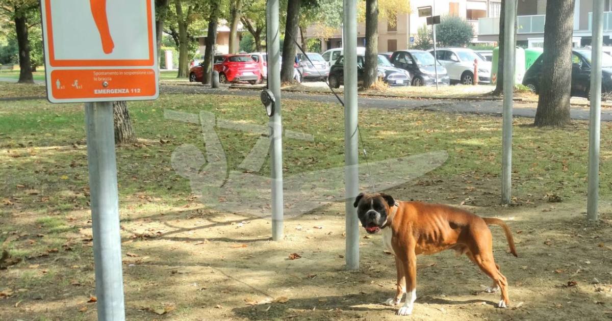 Carpi - Horizontal Bar - Via Boccalini — outdoor calisthenics spot in Carpi