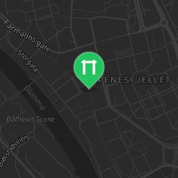 Map showing where Fredrikstad - Outdoor Gym - Trondalen is