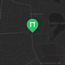 Map showing where Anzhero-Sudzhensk - Fitness Park - Палата is